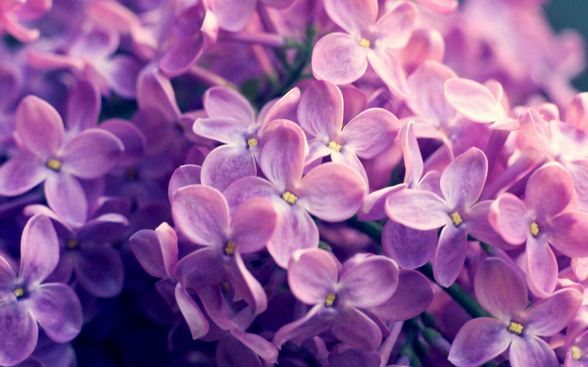 开云体育官网-边界守护者的艺术，2026世界杯之夜，孔德与那本由汗水写就的教科书