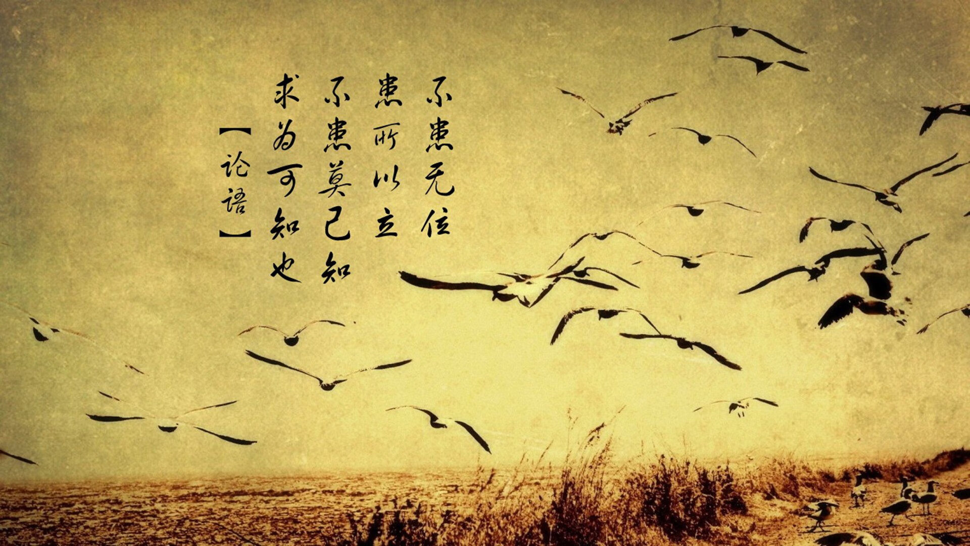 铁闸与钥匙，坎特一夫当关，英格兰碾过阿尔及利亚晋级