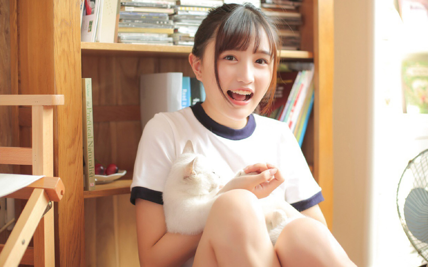 阴影与星光，从约基奇的救赎与篮网的压制，看胜利的两种抵达