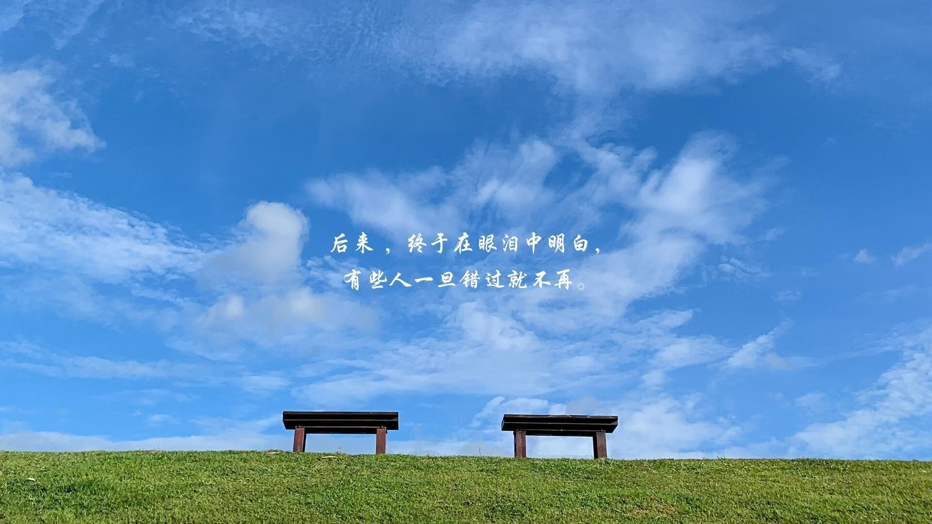 越界—当锡安将欧冠的滔天声浪，踩成个人腾空的阶梯