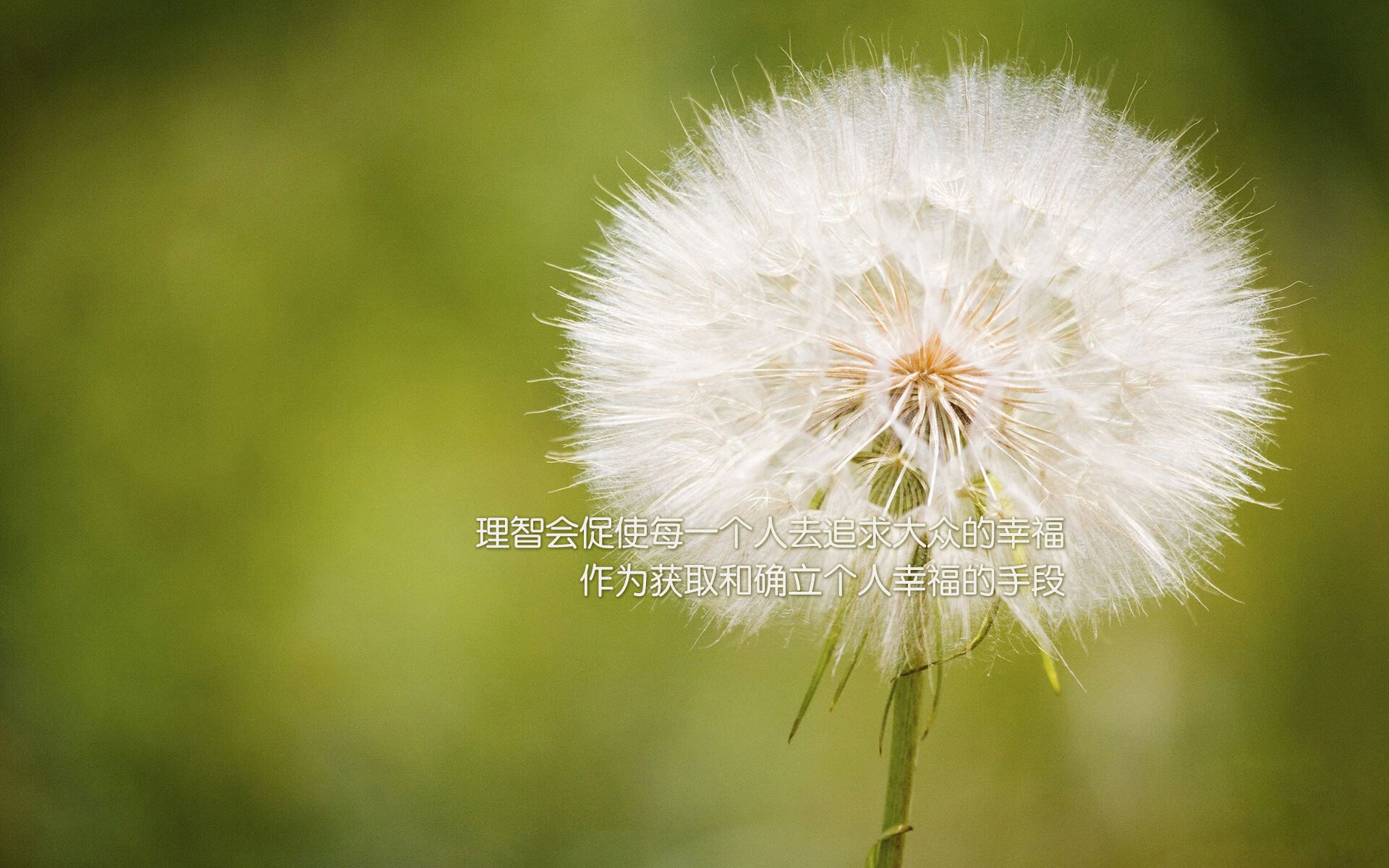 (三个选项供您选择)